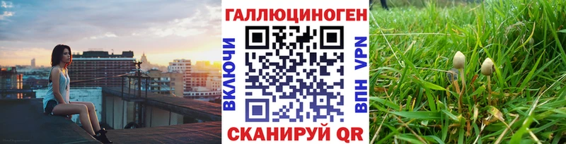 Псилоцибиновые грибы MAGIC MUSHROOMS  Купить закладки  Щёлкино