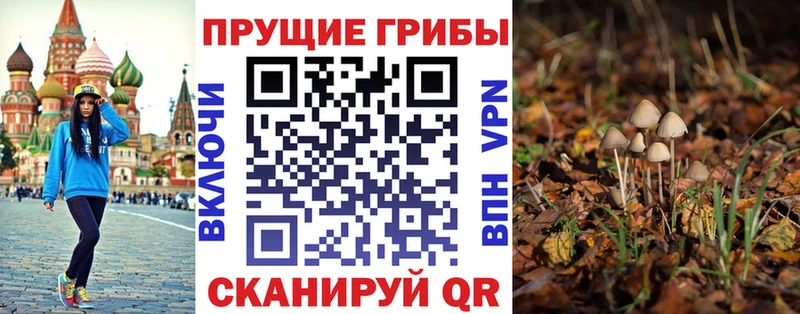 Галлюциногенные грибы мицелий Щёлкино